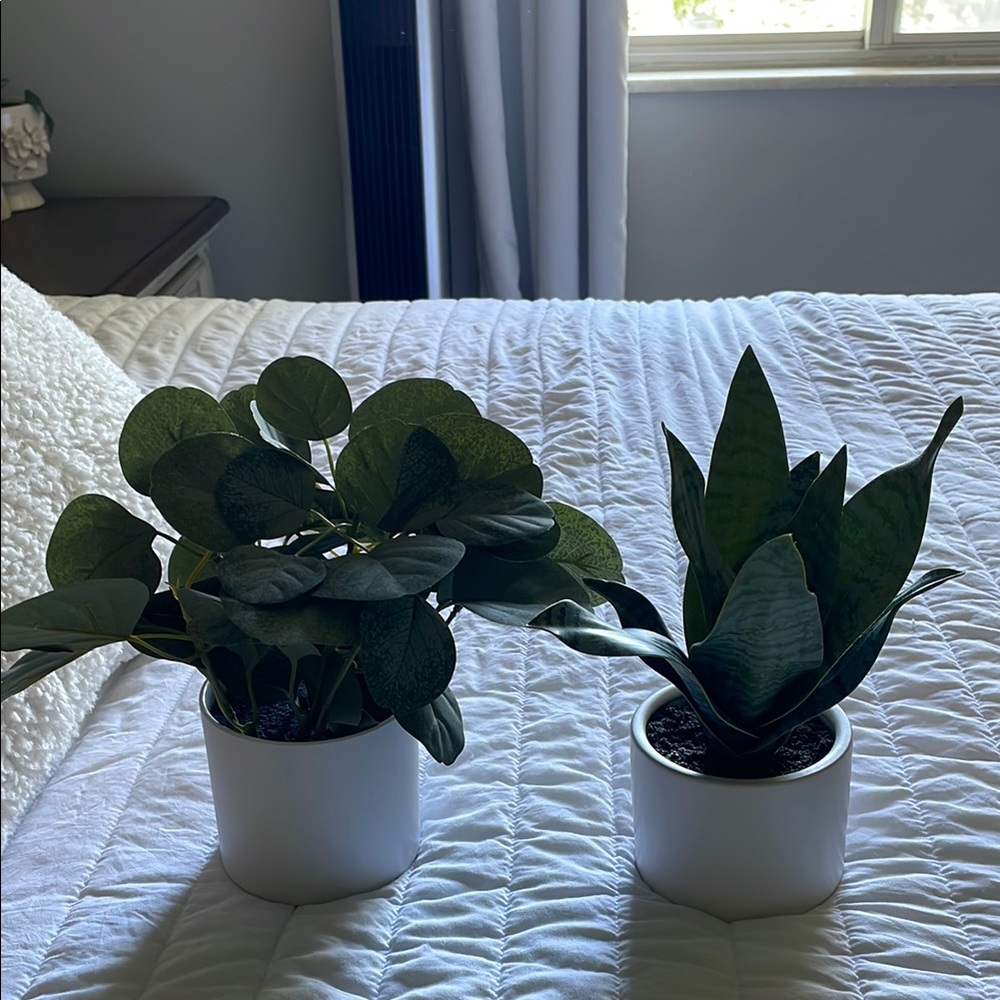 Faux plant set